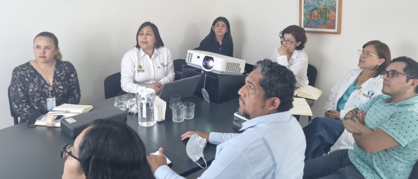 Visita de Asesoría del Subcomité de Calidad del Expediente Clínico, Modelo de Evaluación del Expediente Clínico y Plan Estratégico Sectorial para la Implementación de las Guías de Práctica Clínica