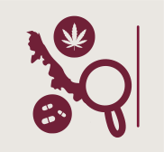 Botón para abrir sitio Observatorio Veracruzano de Salud Mental y Adicciones