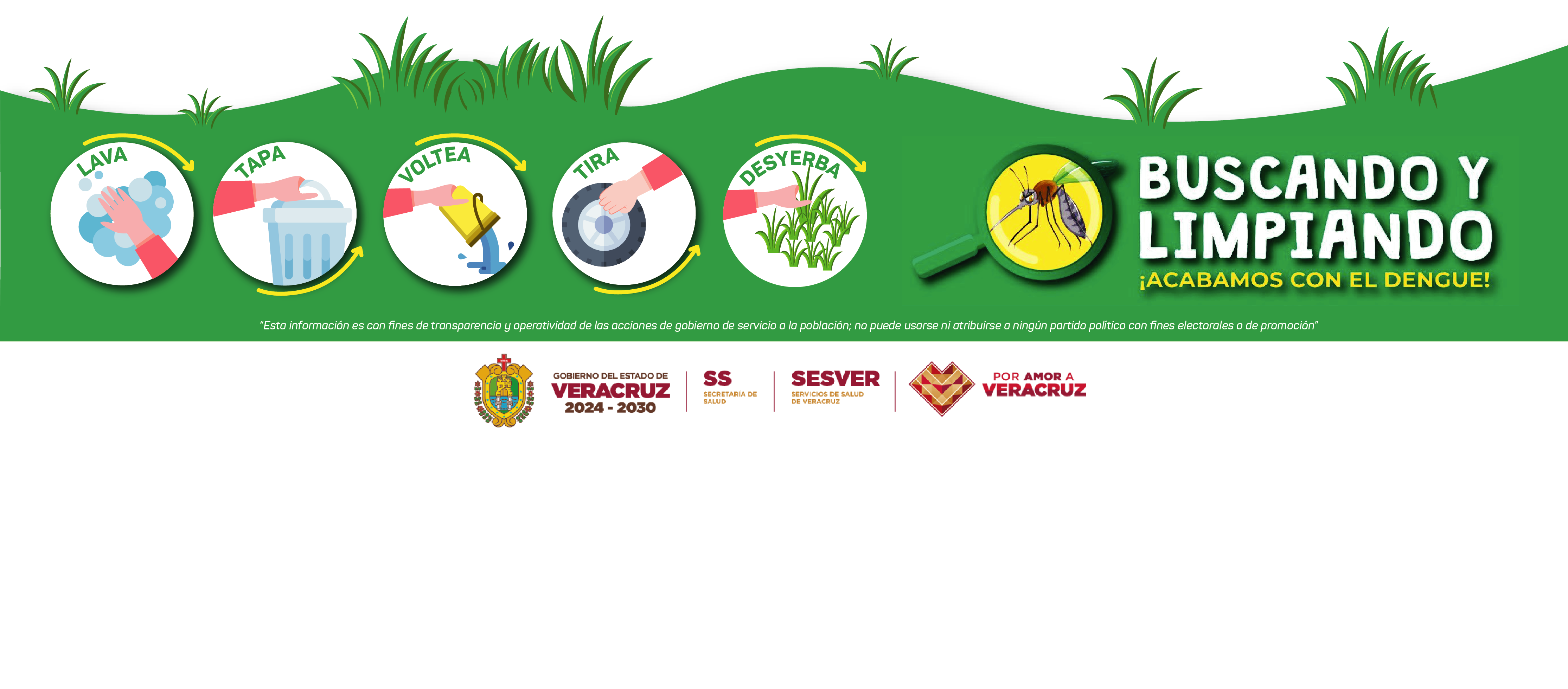 Buscando y limpiando ¡acabamos con el dengue!