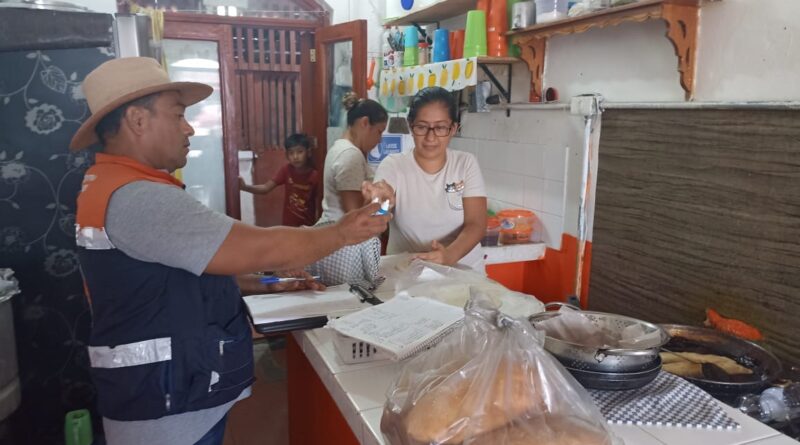 PERSONAL DE REGULACIÓN SANITARIA DE LA JURISDICCIÓN IX REALIZA ACCIONES PREVENTIVAS CON MOTIVO DEL FESTIVAL INTERNACIONAL DEL BOLERO EN TLACOTALPAN