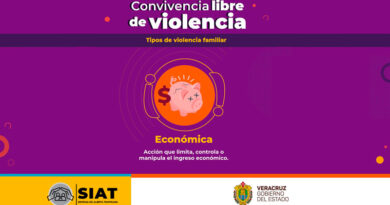 La violencia económica afecta la vida y autonomía de las mujeres