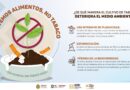 31 de mayo Día Mundial sin Tabaco| «Cultivemos alimentos, no tabaco»