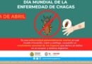 14 de abril | ¿Sabías qué?  La Chinche Besucona es la transmisora del parásito causante de la Enfermedad de Chagas.