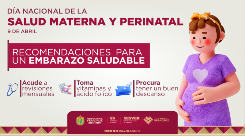 Día Nacional de la Salud Materna y Perinatal Día Nacional de la Salud Materna y Perinatal