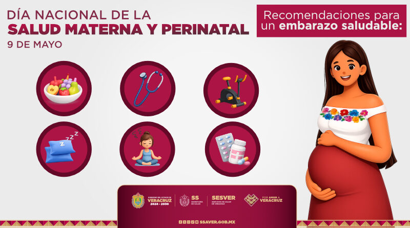 Día Nacional de la Salud Materna y Perinatal